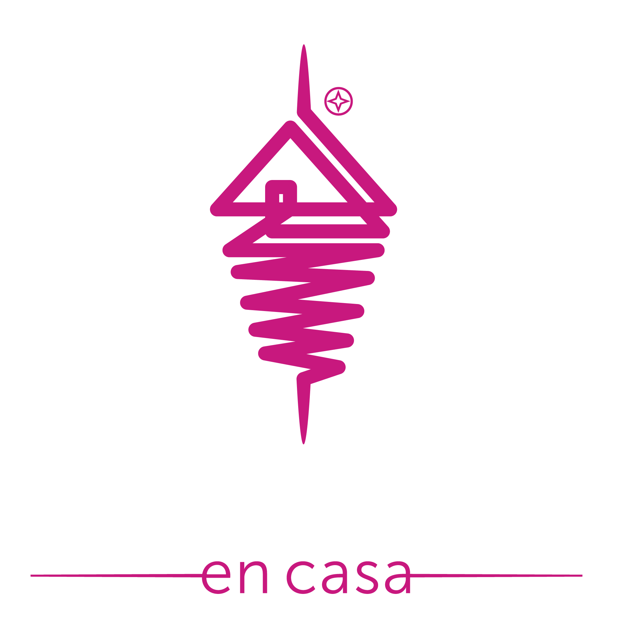 Shawarma en Casa